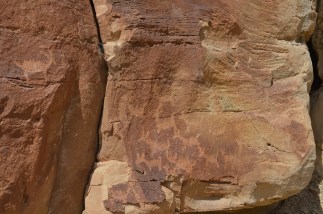 Ute rock art; hard to say what animal some of these petroglyphs are portraying.