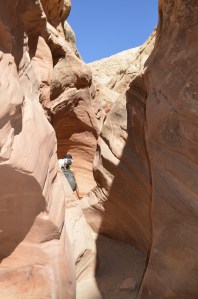 Erin hiking through Little Wild Horse