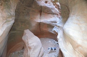 Zari exploring the canyon