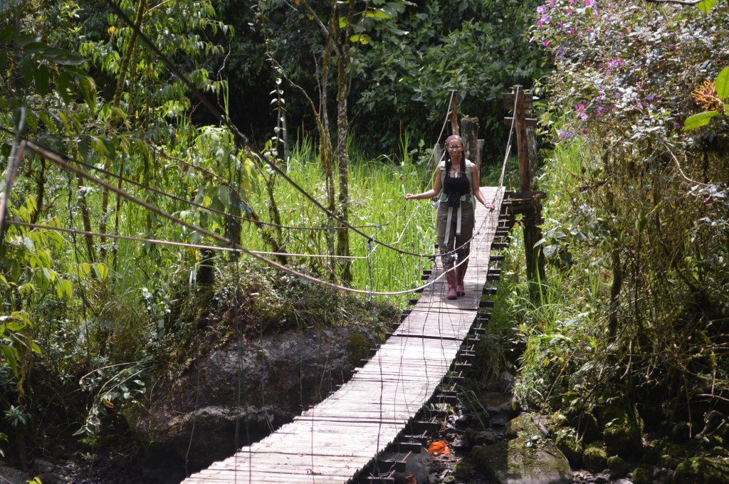 At first Erin was a little nervous about this bridge. Quite possibly with good reason. We read in the manager's log how one of the cables came out with guests on the bridge once (no one was hurt) and one of my major projects ended up being replacing a lot of bad planks on the bridge. Still it added an enormous amount of rugged, jungle mystique. 