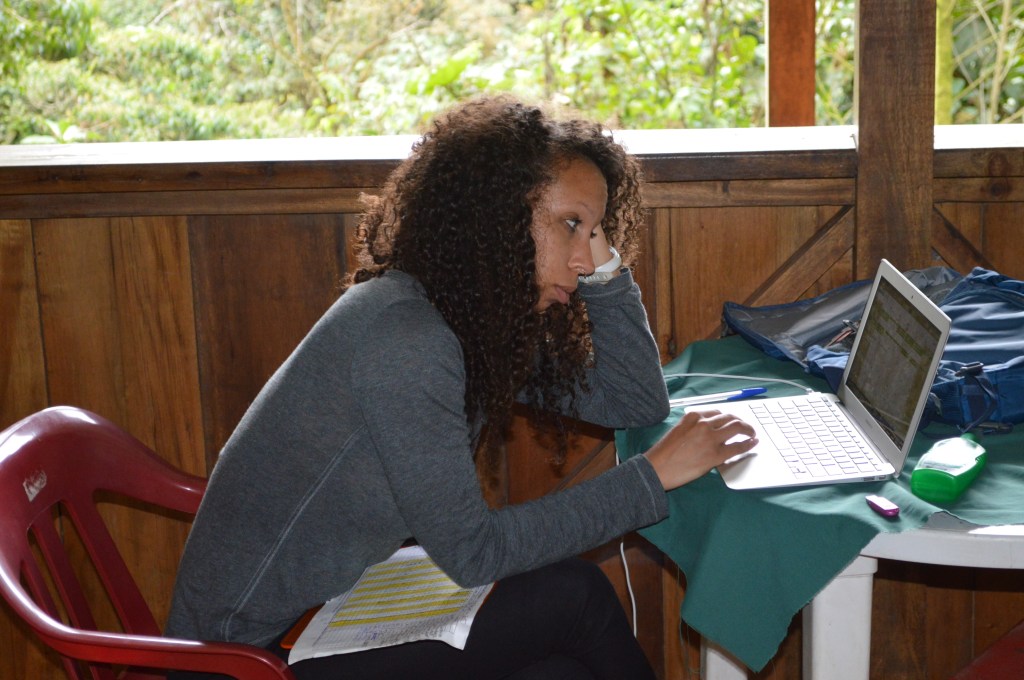 Erin hard at work on a report for our boss.