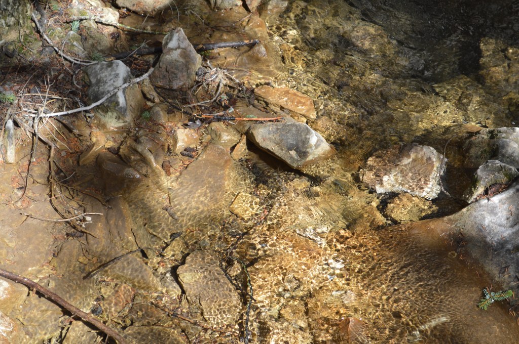 A stream on the Hanging Lake trail, Colorado