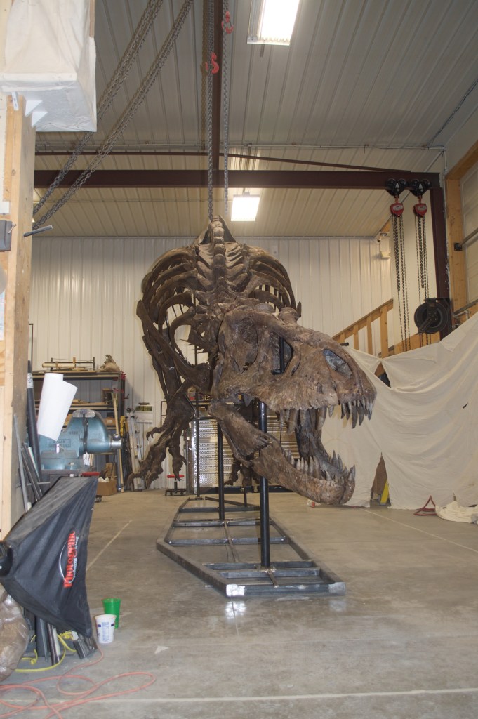 Trix, the T. Rex in Hill City, SD