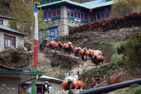 Waste transportation by yaks